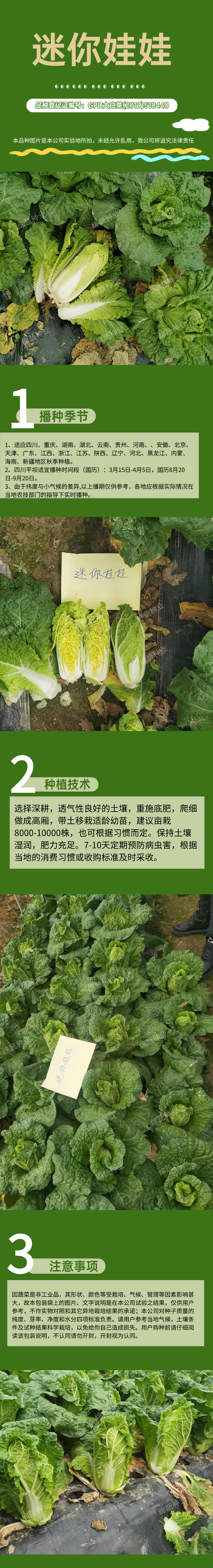 迷你娃娃.jpg