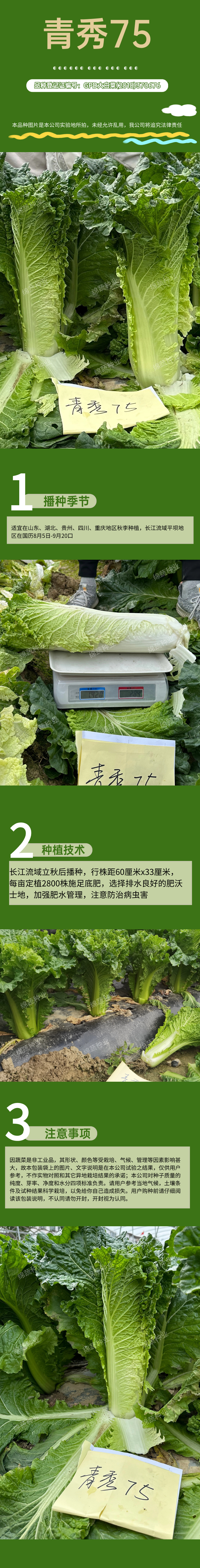 青秀75.jpg