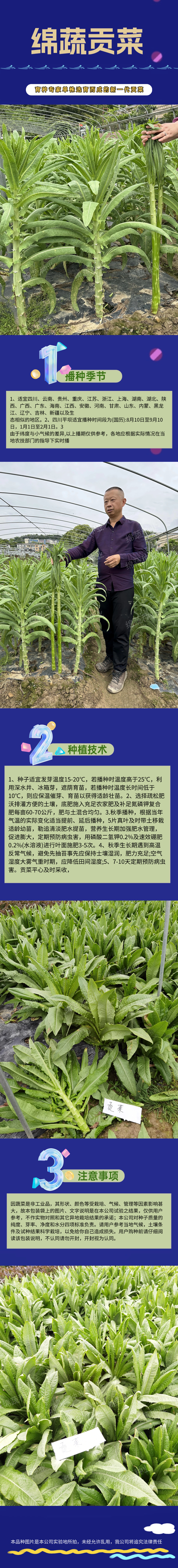 绵蔬贡菜.jpg