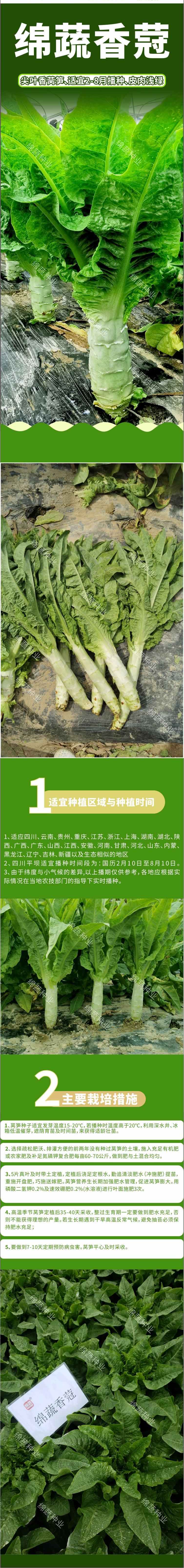 绵蔬香蒄.jpg