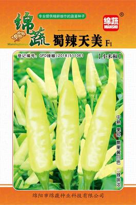 A5 &nbsp;&nbsp;蜀辣天美