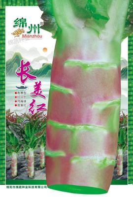 A7 &nbsp;长美红