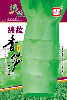 A2    绵蔬香笋
