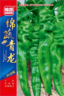8   绵蔬青龙