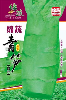 A4 &nbsp;&nbsp;&nbsp;绵蔬青笋
