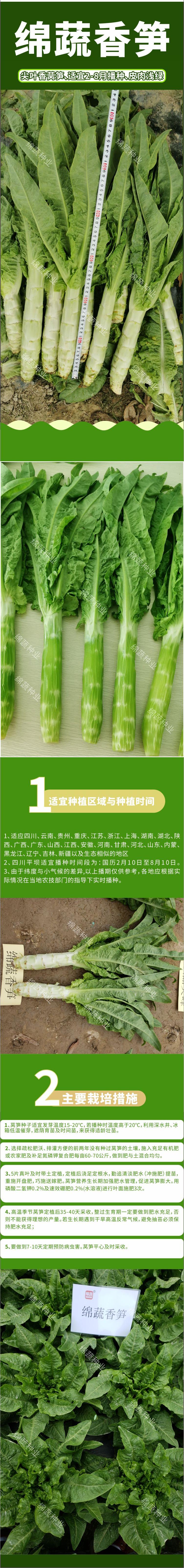 绵蔬香笋.jpg