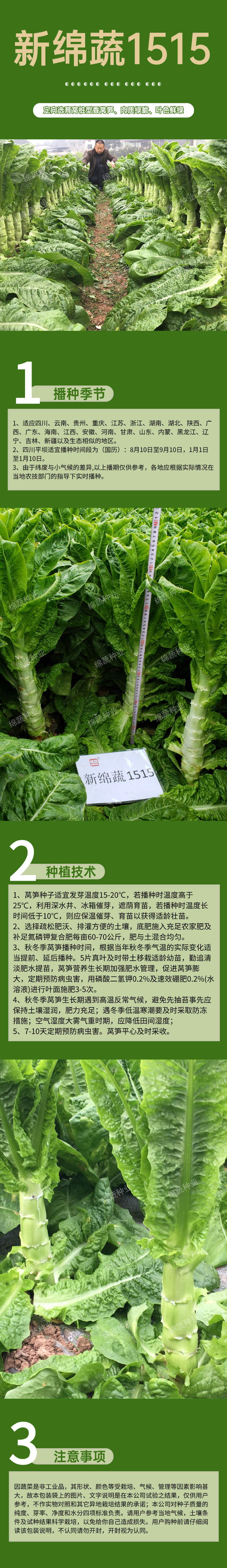 新绵蔬1515.jpg