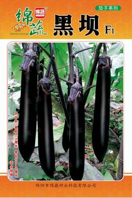 12 &nbsp;&nbsp;黑坝