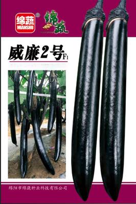 18 &nbsp;&nbsp;威廉2号