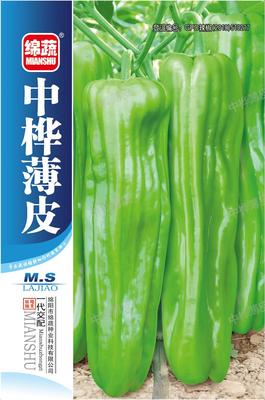 7 &nbsp;&nbsp;&nbsp;中桦薄皮