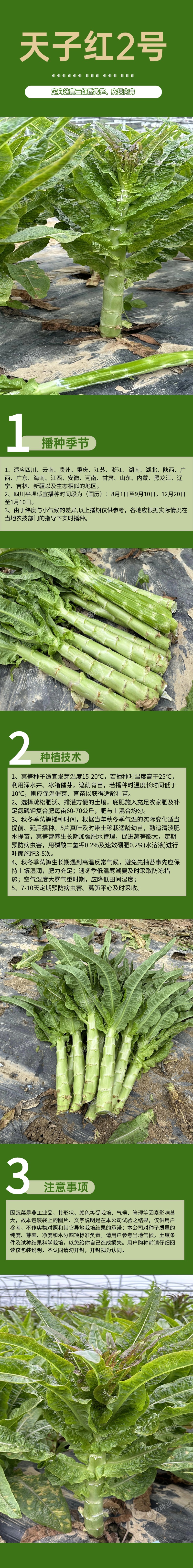 天子红2号(1).jpg