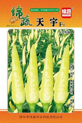 A4 &nbsp;&nbsp;天宇