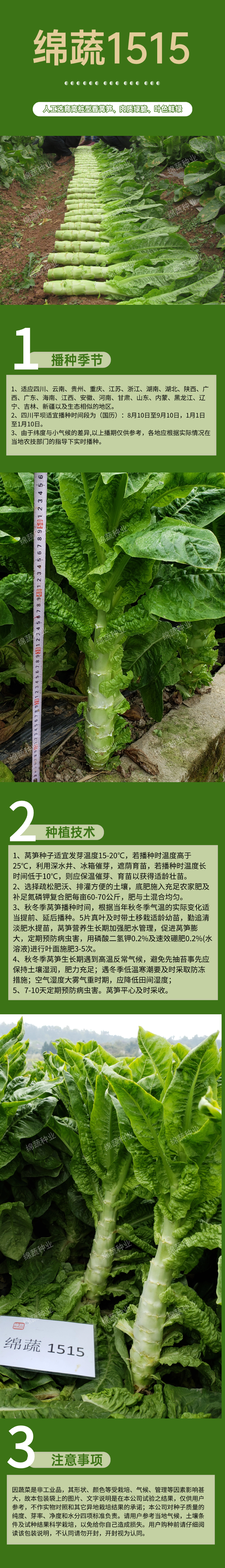 绵蔬1515.jpg