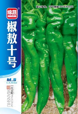 7  椒敖十号