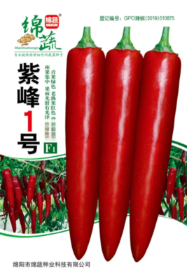 6 &nbsp;&nbsp;&nbsp;&nbsp;紫峰1号