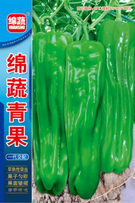 3   绵蔬青果