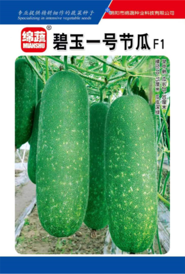 1     碧玉一号节瓜