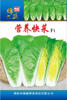 14 &nbsp;&nbsp;&nbsp;&nbsp;&nbsp;营养快菜