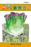 16     紫罗兰生菜