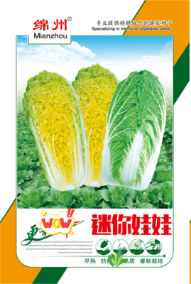 4 &nbsp;&nbsp;&nbsp;&nbsp;迷你娃娃