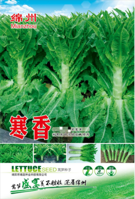 C5 &nbsp;&nbsp;&nbsp;&nbsp;寒香