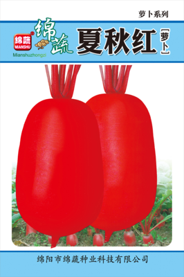 5 &nbsp;&nbsp;&nbsp;&nbsp;夏秋红