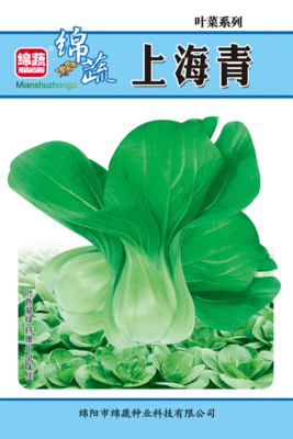 20 &nbsp;&nbsp;&nbsp;&nbsp;上海青