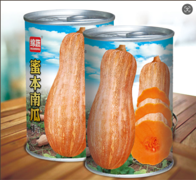 9 &nbsp;&nbsp;&nbsp;蜜本南瓜