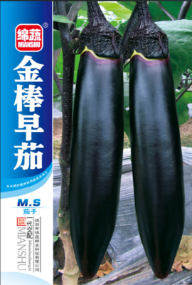 15 &nbsp;&nbsp;金棒早茄