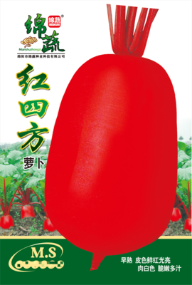 4 &nbsp;&nbsp;&nbsp;&nbsp;&nbsp;红四方