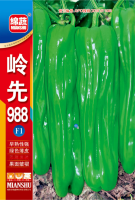 4 &nbsp;&nbsp;&nbsp;岭先988