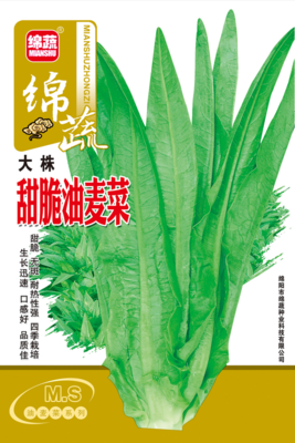 8 &nbsp;&nbsp;&nbsp;&nbsp;&nbsp;甜脆油麦菜