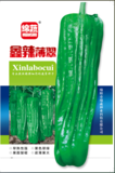 鑫辣薄翠