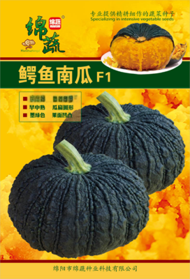 11 &nbsp;&nbsp;鳄鱼南瓜