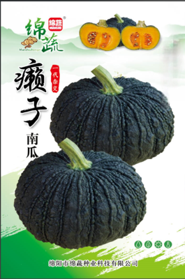 12 &nbsp;&nbsp;癞子南瓜