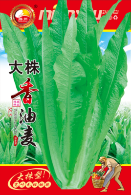 7 &nbsp;&nbsp;&nbsp;&nbsp;大株香油麦