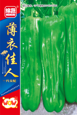 11 &nbsp;&nbsp;&nbsp;&nbsp;&nbsp;薄衣佳人