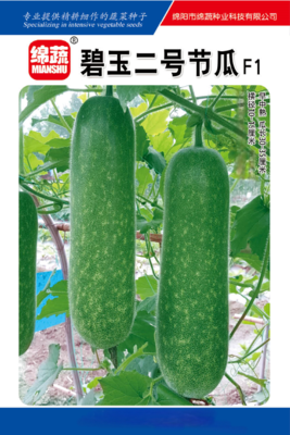2      碧玉二号节瓜