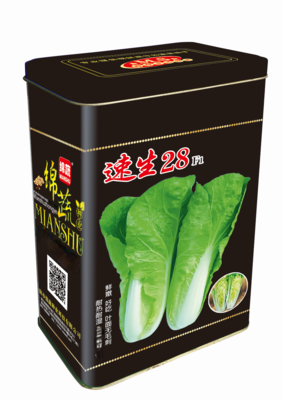 11 &nbsp;&nbsp;&nbsp;&nbsp;&nbsp;速生28