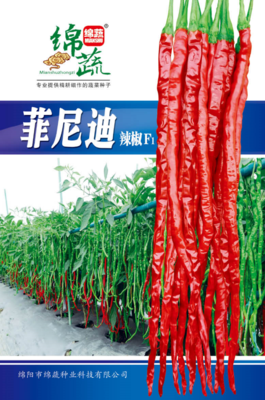24 &nbsp;&nbsp;&nbsp;&nbsp;菲尼迪