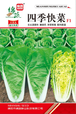 13 &nbsp;&nbsp;&nbsp;&nbsp;&nbsp;四季快菜