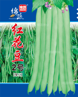 红花豆2号