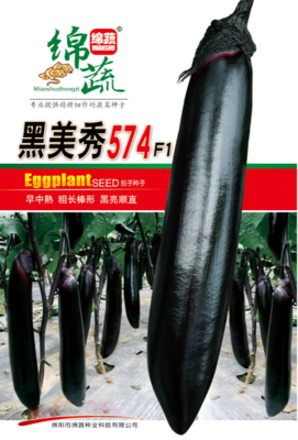 10 &nbsp;&nbsp;黑美秀574