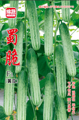 2 &nbsp;&nbsp;蜀脆黄瓜