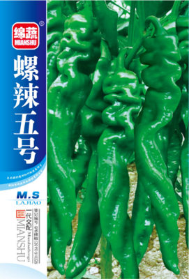 5  螺辣五号