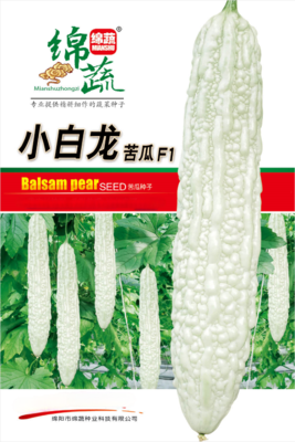小白龙苦瓜