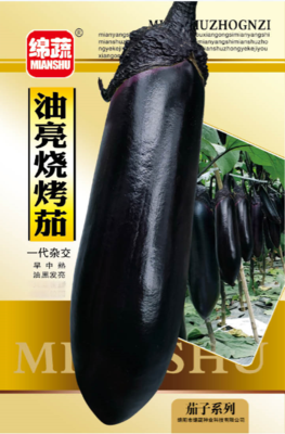 17 油亮烧烤茄