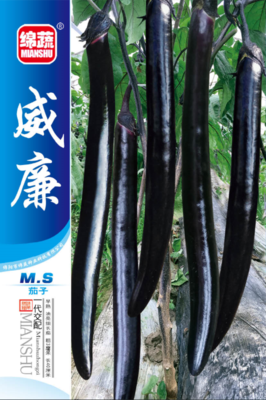 19 &nbsp;&nbsp;&nbsp;威廉