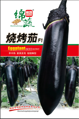22 &nbsp;烧烤茄