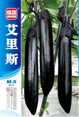 13 &nbsp;&nbsp;艾丽斯